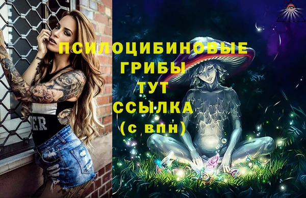 mdpv Лагань