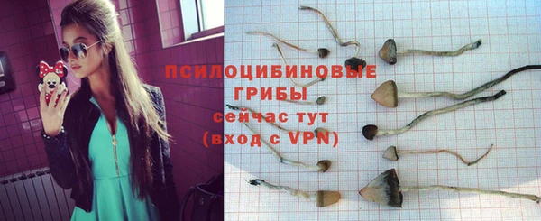mdpv Лагань