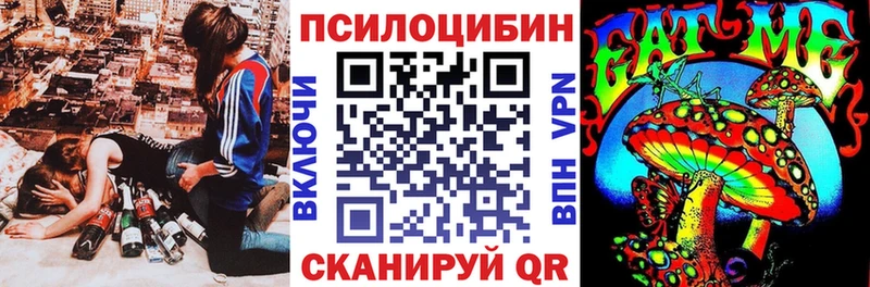 Галлюциногенные грибы Psilocybe  Великие Луки 