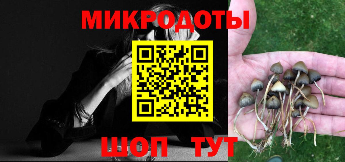 Псилоцибиновые грибы Cubensis  Великие Луки  Псилоцибиновые грибы мухоморы 