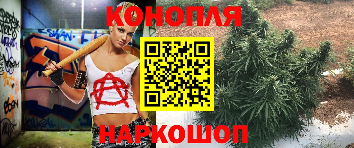 Канабис конопля Великие Луки